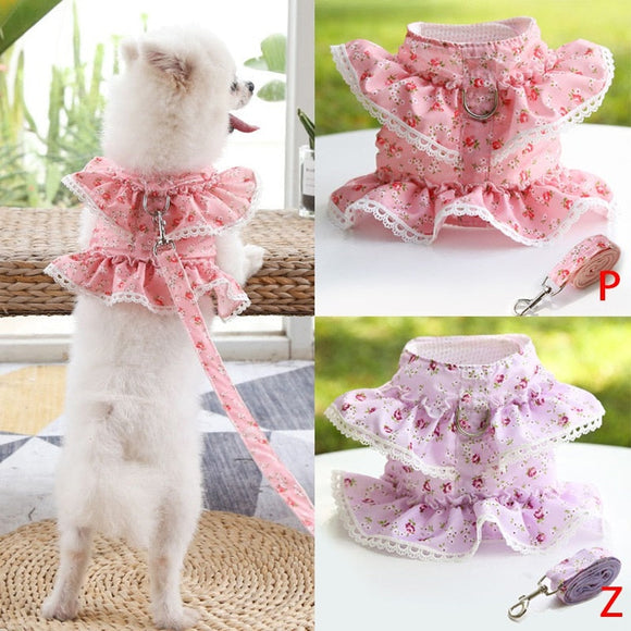 Dog/Puppy Clothing