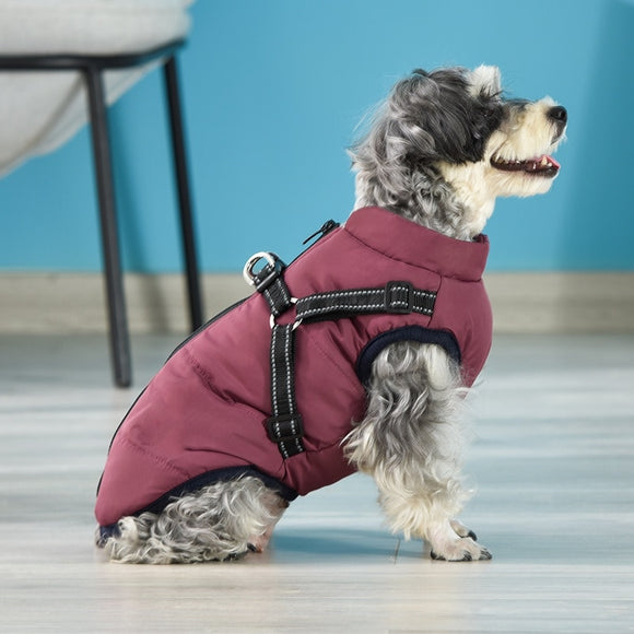 Pet Clothes Winter Warm Jacket with Harness Puppy Outdoor Walk Adjustable Chest Strap Dog Cloth Vest Winter Clothing - Your Healthy Version