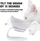 Non slip Double Cat Bowl with Raised Stand Pet Food Cat feeder Protect Cervical Vertebra Dog bowl Transparent Pet Products - Your Healthy Version